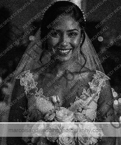 Marco Island Wedding Photography