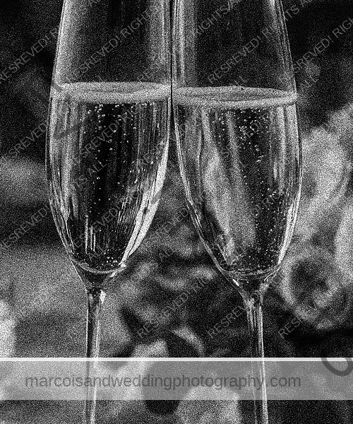 Marco Island Wedding Photography