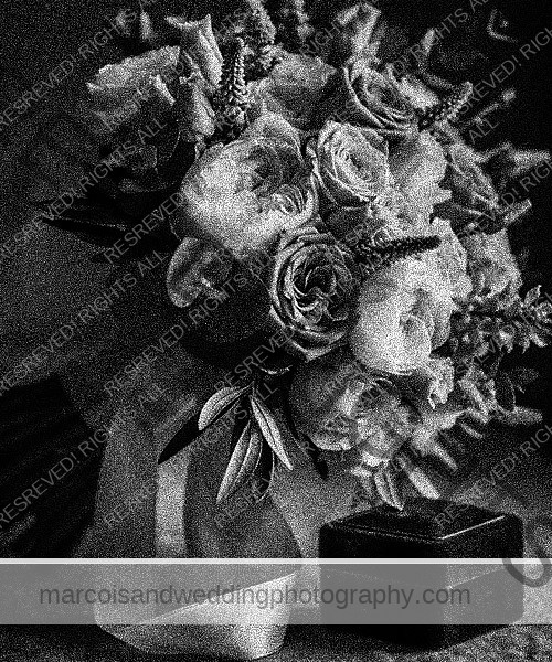 Marco Island Wedding Photography